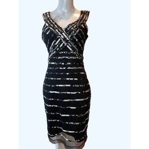 Sandra Darren Women Striped Lace Sheath Mini Dress V Neck Back Zip Black Size 4
